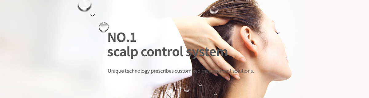 NO.1 Scalp control system